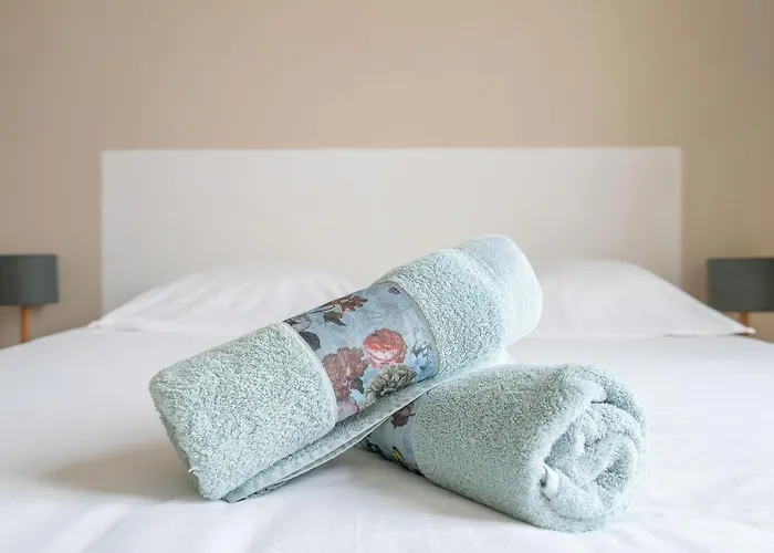 Le Larbaud - Calme Et Lumineux En Centre Daire *